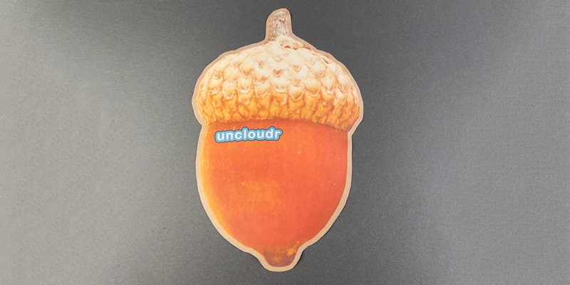 Acorn