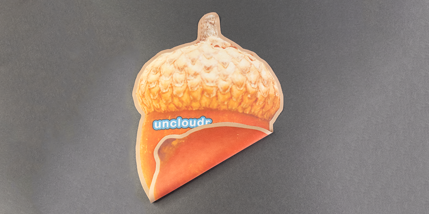 Acorn