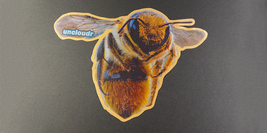 Bee