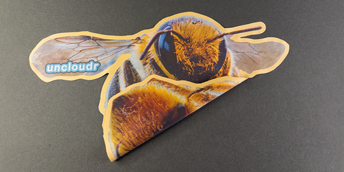 Bee