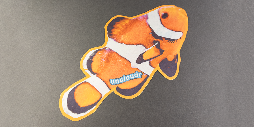 Clown Fish