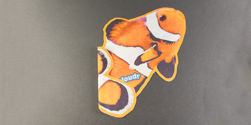 Clown Fish