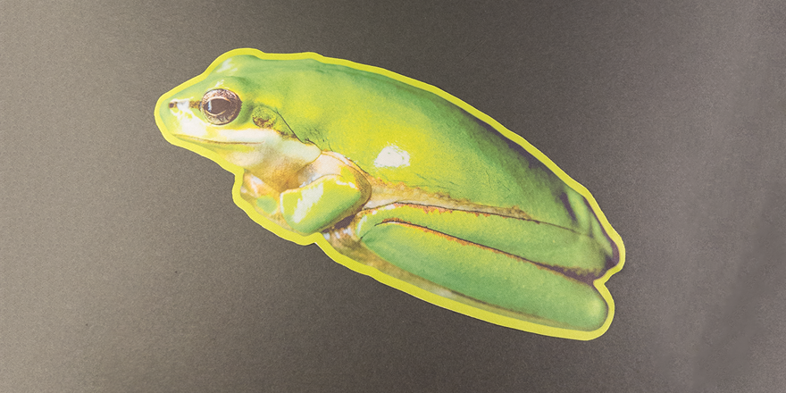 Frog