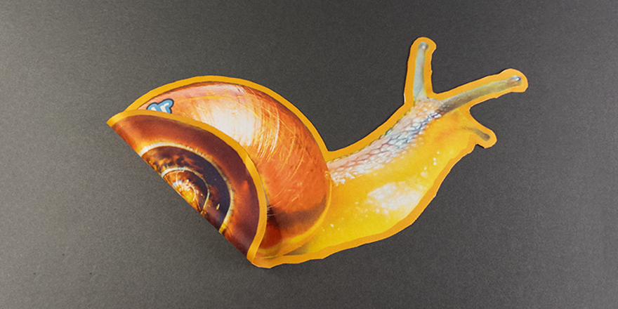 Snail